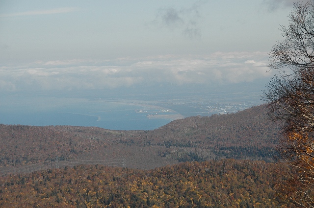 f0157901_10453347.jpg