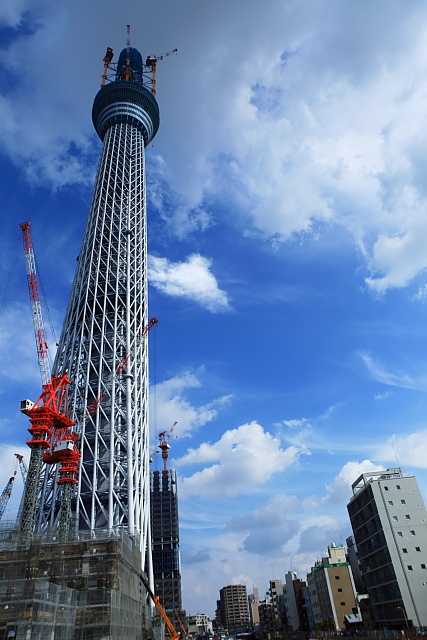 e0117503_22182055.jpg