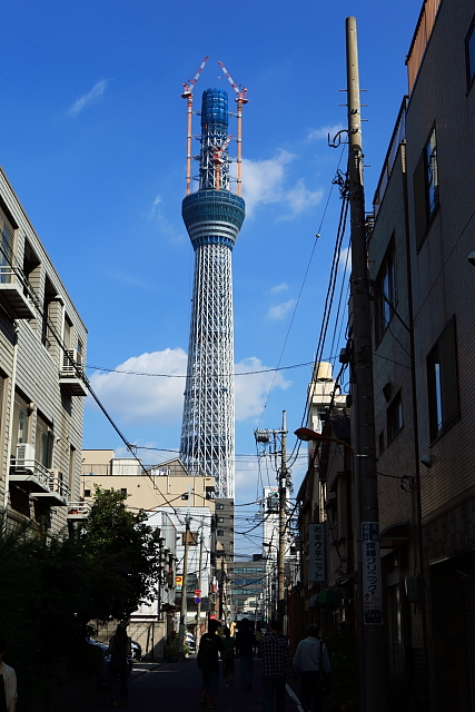 e0117503_22395294.jpg
