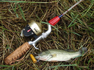 c0023804_1916125.jpg