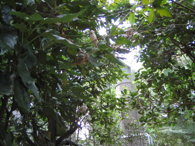 d0101907_21262144.jpg