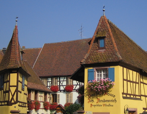 d0135907_1203284.jpg