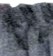 e0103408_15523573.gif