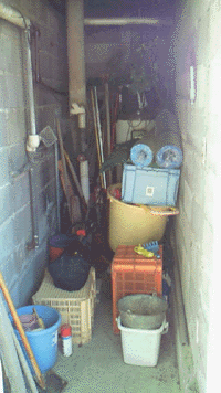 e0103408_2195535.gif