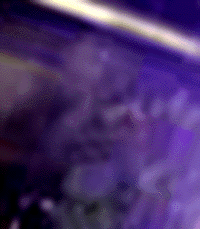e0103408_265413.gif