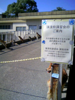 b0071310_17372626.jpg