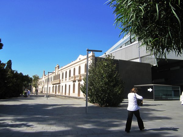 b0064411_34141.jpg