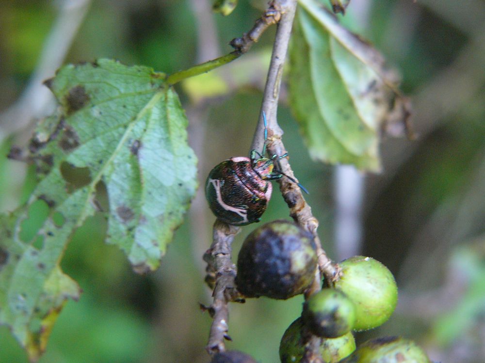 c0062511_810576.jpg