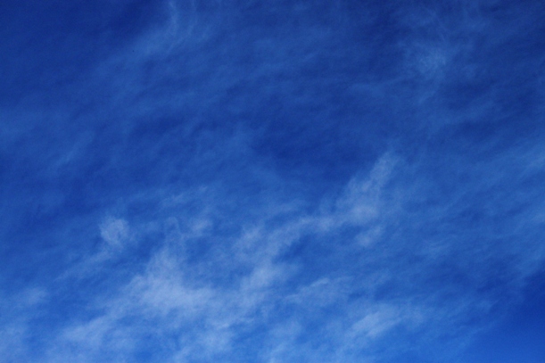 a0109914_032765.jpg
