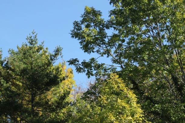 a0109914_07238.jpg