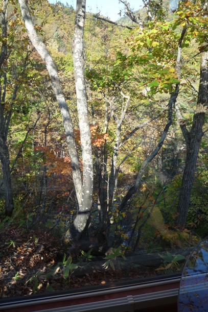 a0109914_21595457.jpg