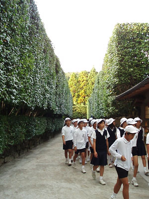 c0085514_14304332.jpg
