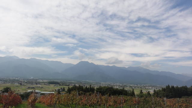 f0233414_23465054.jpg