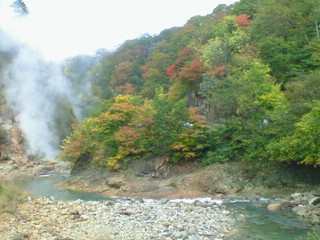 a0073915_21491930.jpg