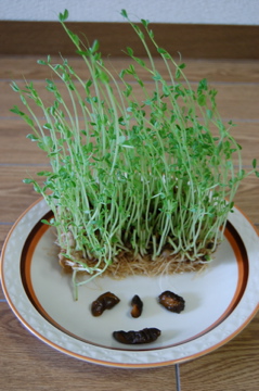 c0111017_20113767.jpg