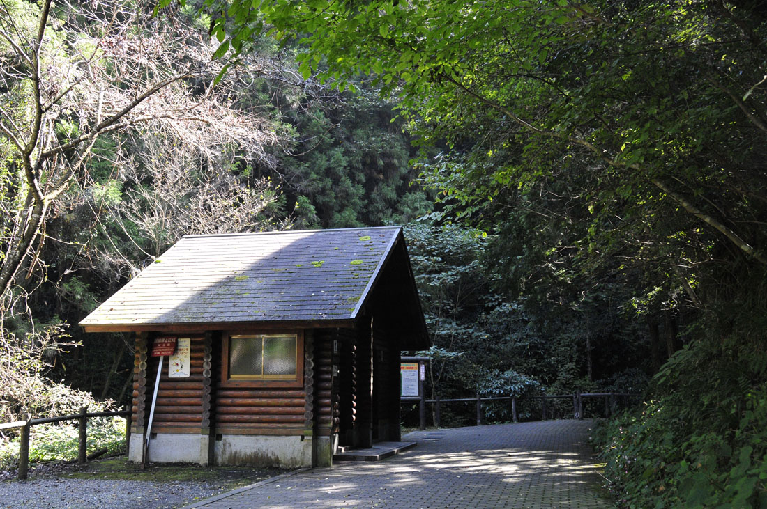 f0206417_19432716.jpg
