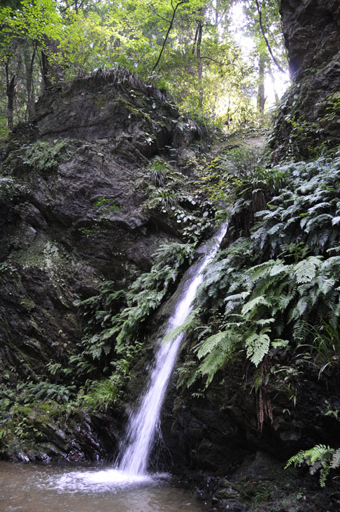 f0206417_19441748.jpg