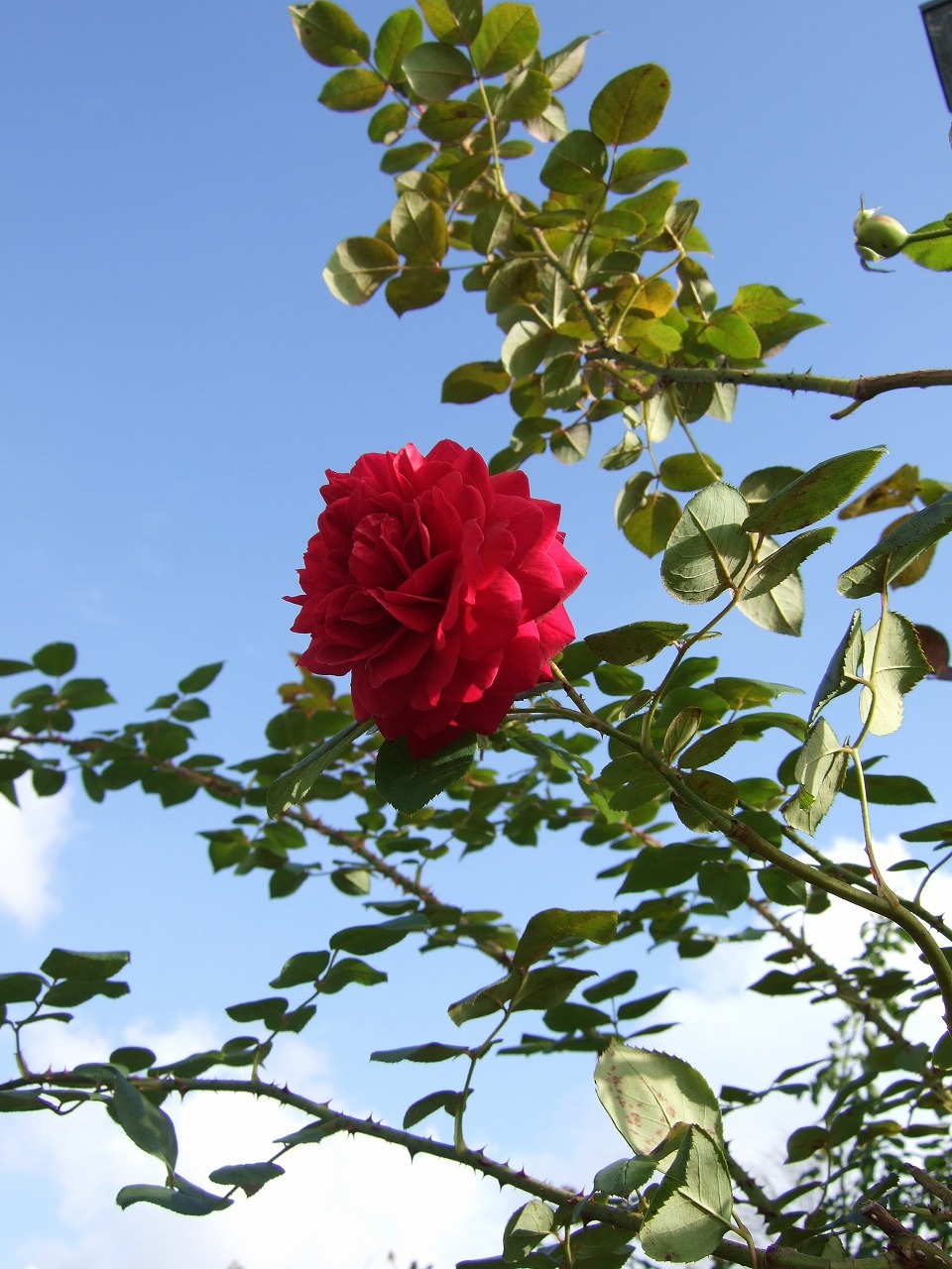 f0227218_1955433.jpg