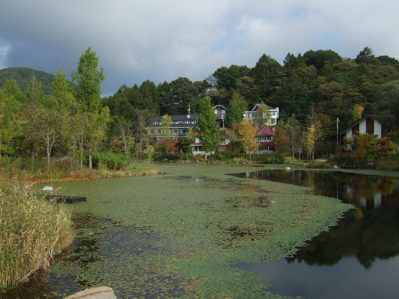 f0227218_1972985.jpg
