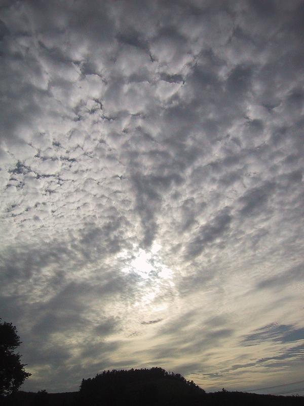 c0097620_22404116.jpg