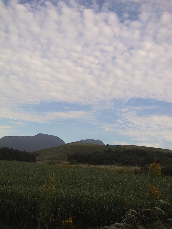 c0097620_2255361.jpg