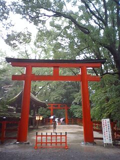 b0062522_1185256.jpg