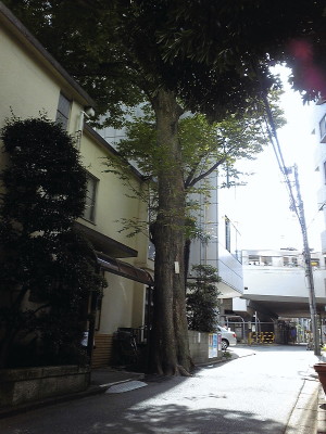 f0000425_18162114.jpg