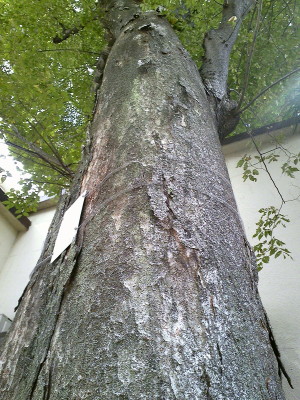 f0000425_18163192.jpg