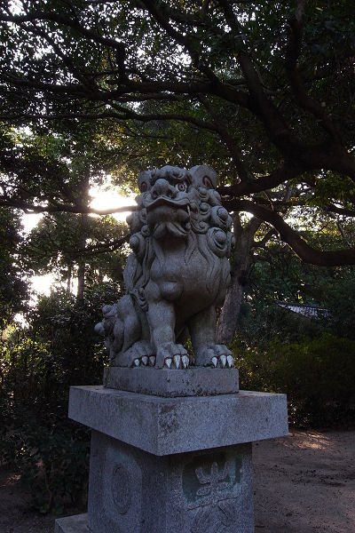 f0007926_1124383.jpg