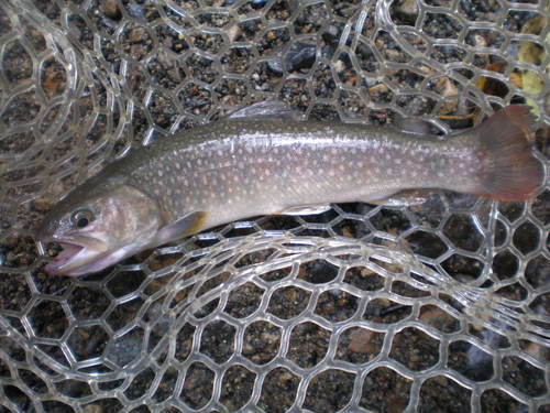 b0195927_22235837.jpg