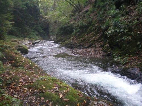 b0195927_23225921.jpg