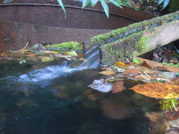 e0037129_254220.jpg