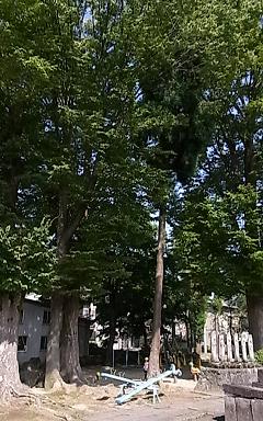 a0070831_214093.jpg