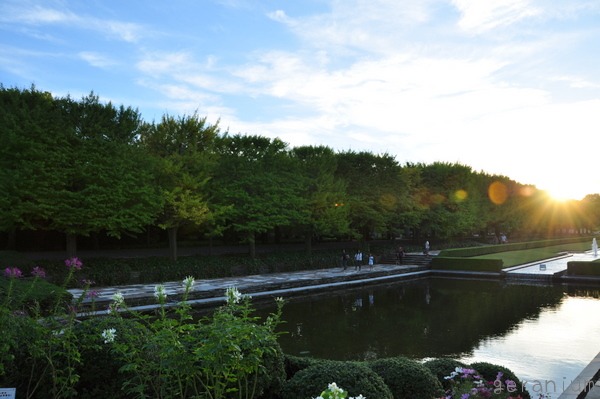 c0133533_0215253.jpg