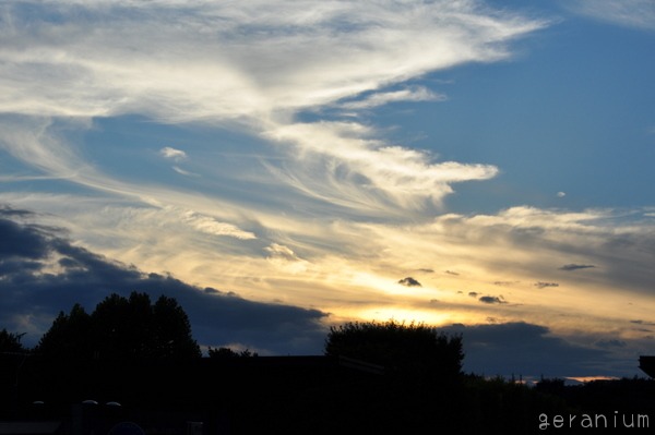 c0133533_04565.jpg