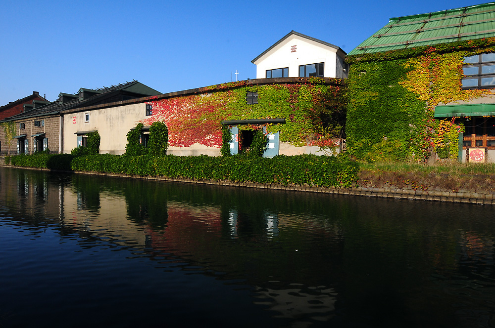 c0221838_641435.jpg