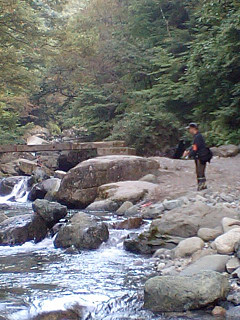 f0065341_1775983.jpg