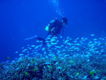 f0014842_17553840.jpg