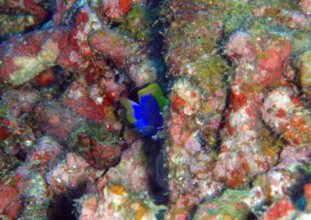 f0014842_1801031.jpg