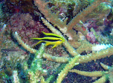 f0014842_1814052.jpg