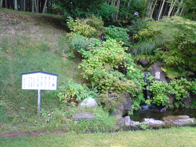 c0104445_2254464.jpg