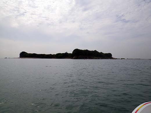 e0050753_20231485.jpg