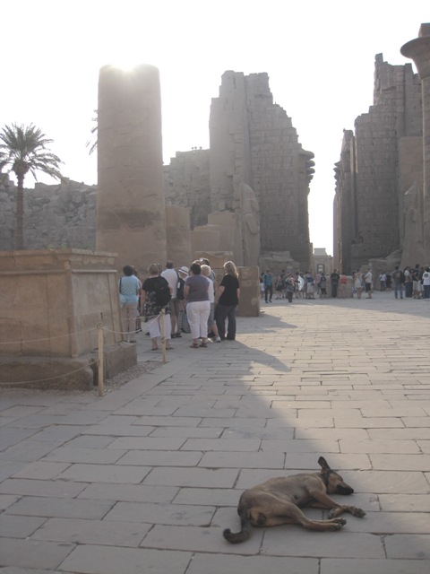 b0173754_10205157.jpg