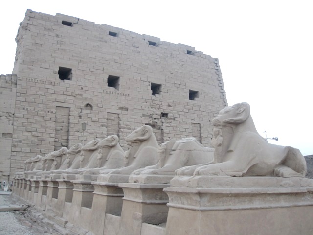 b0173754_1032355.jpg