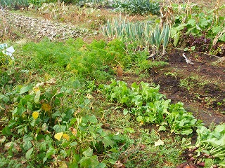 e0004756_2027218.jpg