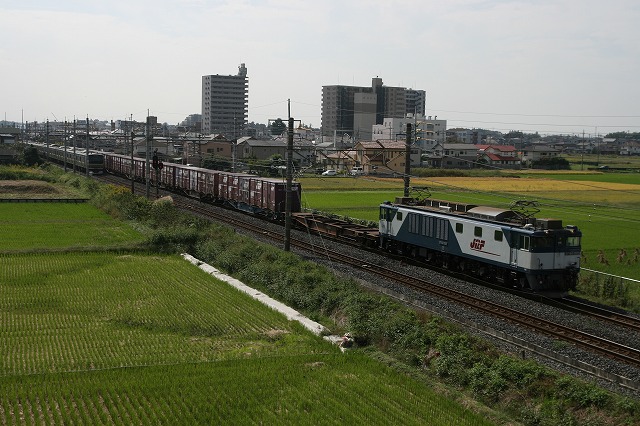 b0002858_22422127.jpg