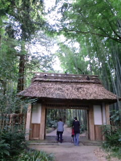 f0082659_0365511.jpg