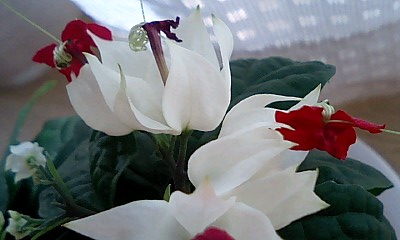 d0076760_23315779.jpg