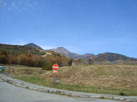 d0152765_209135.jpg