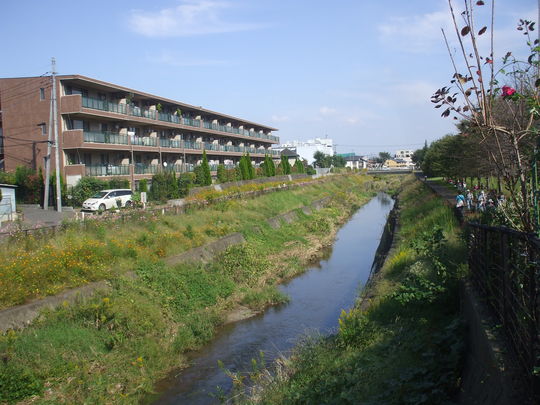 f0131165_21453736.jpg